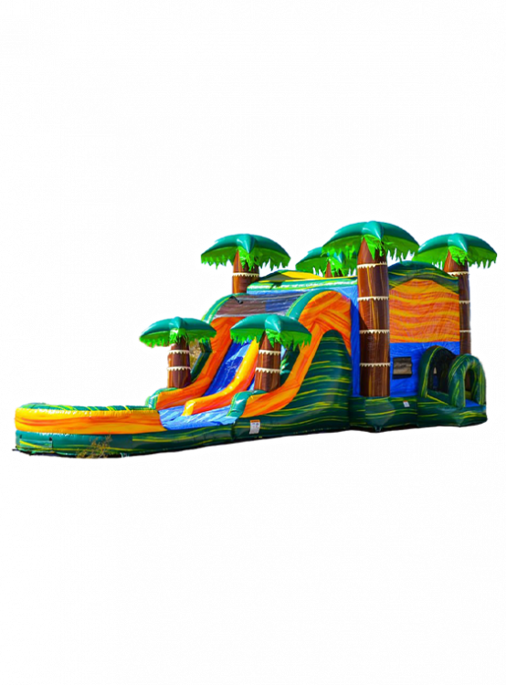 Jungle Jump Bouncer w/ 2 Slides - Dry