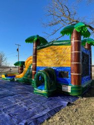 photo 2023 02 03 15 04 32 1675775754 Jungle Jump Bouncer w/ 2 Slides - Wet