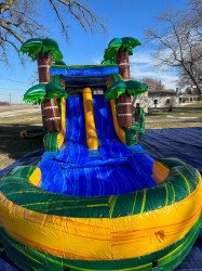 photo 2023 02 03 15 04 50 1675775754 Jungle Jump Bouncer w/ 2 Slides - Wet